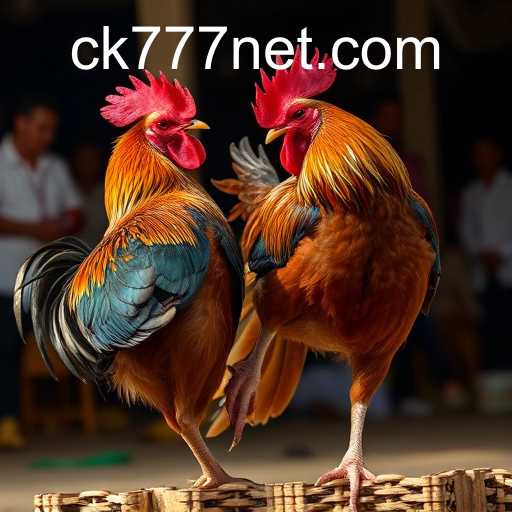 Understanding the Rise of Online Sabong: A Deep Dive into CK777